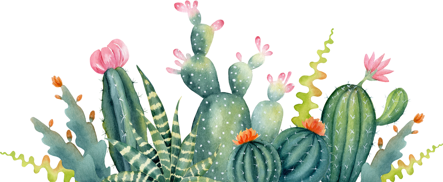 Watercolor cactus border